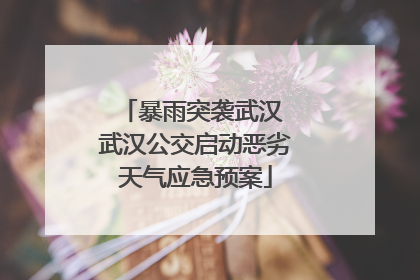 暴雨突袭武汉 武汉公交启动恶劣天气应急预案