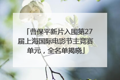 曹保平新片入围第27届上海国际电影节主竞赛单元，全名单揭晓