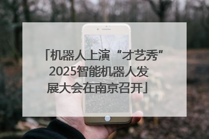 机器人上演“才艺秀” 2025智能机器人发展大会在南京召开