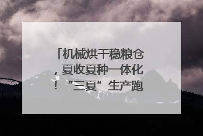 机械烘干稳粮仓，夏收夏种一体化！“三夏”生产跑出加速度｜麦报