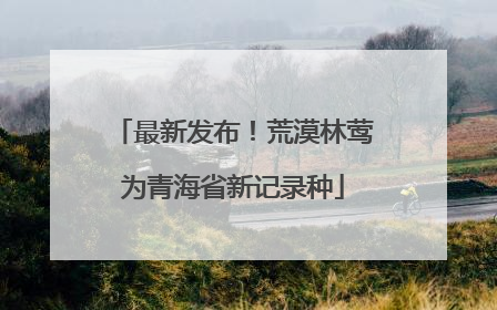 最新发布！荒漠林莺为青海省新记录种