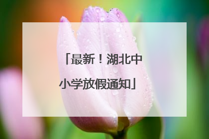 最新！湖北中小学放假通知