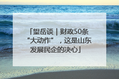 望岳谈｜财政50条“大动作”，这是山东发展民企的决心