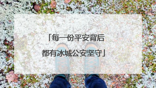 每一份平安背后 都有冰城公安坚守
