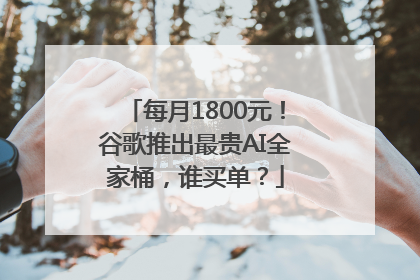 每月1800元！谷歌推出最贵AI全家桶，谁买单？
