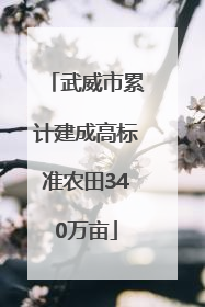 武威市累计建成高标准农田340万亩