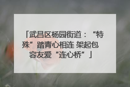 武昌区杨园街道：“特殊”踏青心相连 架起包容友爱“连心桥”