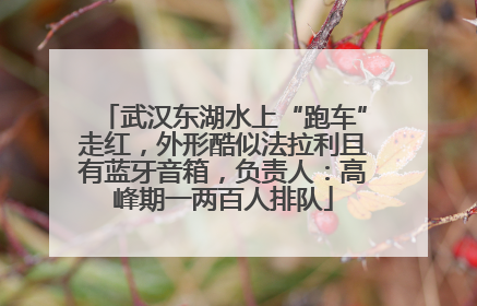 武汉东湖水上“跑车”走红，外形酷似法拉利且有蓝牙音箱，负责人：高峰期一两百人排队