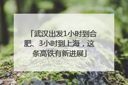 武汉出发1小时到合肥、3小时到上海，这条高铁有新进展