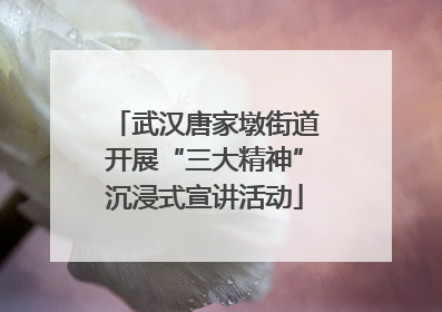 武汉唐家墩街道开展“三大精神”沉浸式宣讲活动