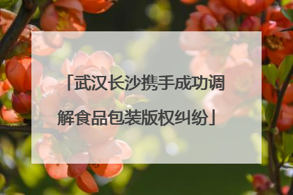 武汉长沙携手成功调解食品包装版权纠纷