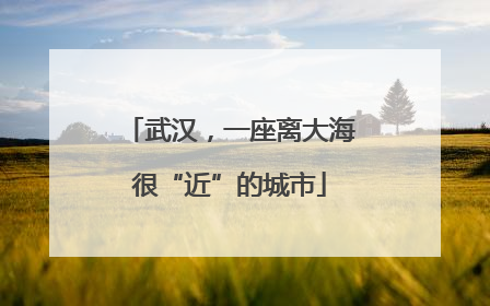 武汉，一座离大海很“近”的城市