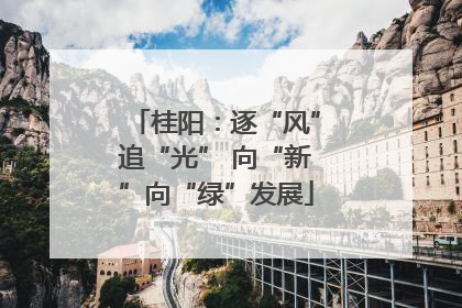 桂阳：逐“风”追“光” 向“新”向“绿”发展