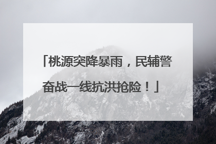 桃源突降暴雨，民辅警奋战一线抗洪抢险！