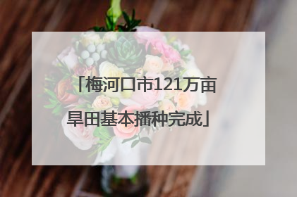 梅河口市121万亩旱田基本播种完成