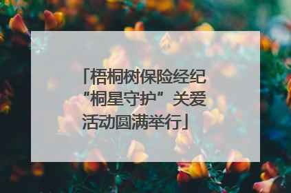 梧桐树保险经纪“桐星守护”关爱活动圆满举行