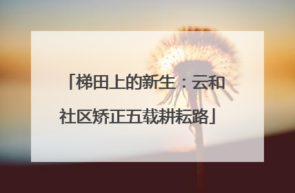 梯田上的新生：云和社区矫正五载耕耘路