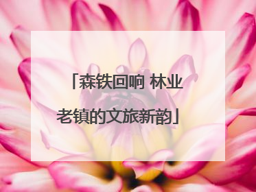 森铁回响 林业老镇的文旅新韵