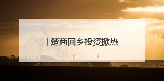楚商回乡投资掀热潮 端午期间超60亿项目签约湖北
