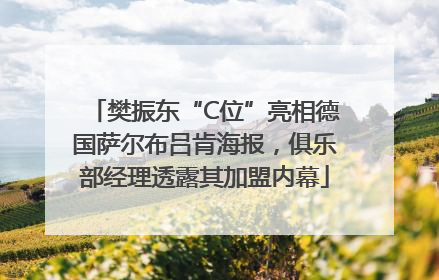 樊振东“C位”亮相德国萨尔布吕肯海报，俱乐部经理透露其加盟内幕