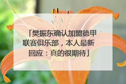樊振东确认加盟德甲联赛俱乐部，本人最新回应：真的很期待