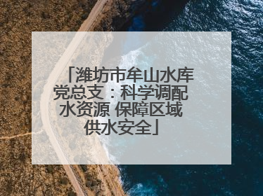 潍坊市牟山水库党总支：科学调配水资源 保障区域供水安全