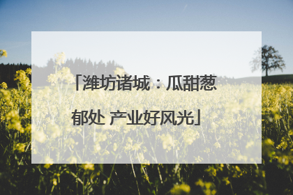 潍坊诸城：瓜甜葱郁处 产业好风光