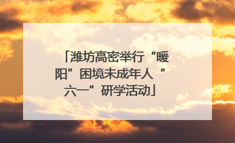 潍坊高密举行“暖阳”困境未成年人“六一”研学活动