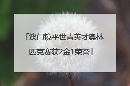 澳门镜平世青英才奥林匹克赛获2金1荣誉