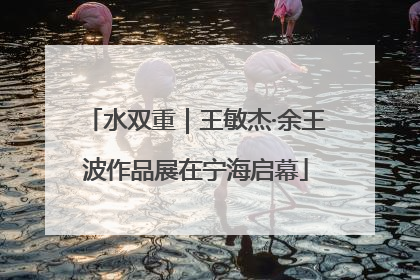 水双重｜王敏杰·余王波作品展在宁海启幕