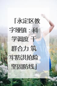 永定区教字垭镇：科学调度 干群合力 筑牢防洪抢险坚固防线