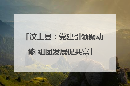 汶上县：党建引领聚动能 组团发展促共富