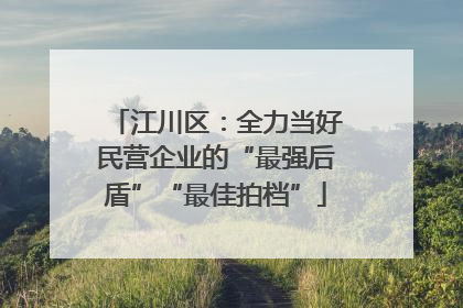 江川区：全力当好民营企业的“最强后盾”“最佳拍档”