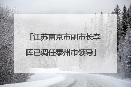 江苏南京市副市长李晖已调任泰州市领导
