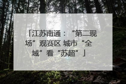 江苏南通：“第二现场”观赛区 城市“全域”看“苏超”