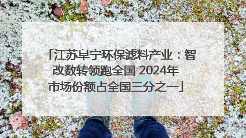 江苏阜宁环保滤料产业：智改数转领跑全国 2024年市场份额占全国三分之一