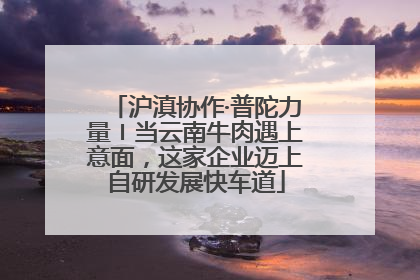 沪滇协作·普陀力量〡当云南牛肉遇上意面，这家企业迈上自研发展快车道