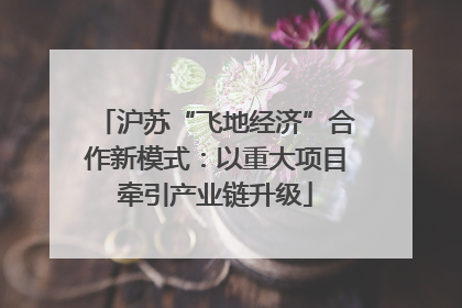 沪苏“飞地经济”合作新模式：以重大项目牵引产业链升级