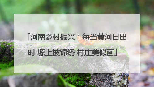 河南乡村振兴：每当黄河日出时 塬上披锦绣 村庄美似画