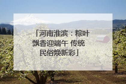 河南淮滨：粽叶飘香迎端午 传统民俗焕新彩