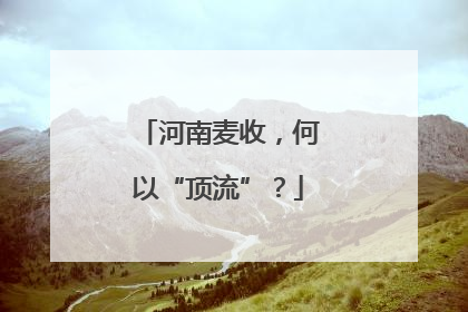 河南麦收，何以“顶流”？