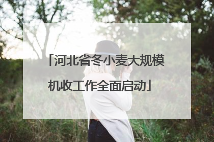 河北省冬小麦大规模机收工作全面启动