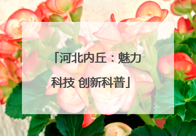 河北内丘：魅力科技 创新科普
