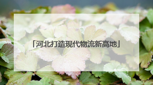 河北打造现代物流新高地