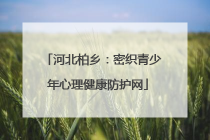 河北柏乡：密织青少年心理健康防护网