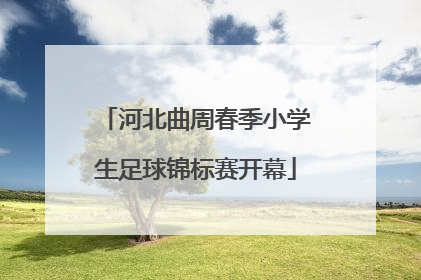 河北曲周春季小学生足球锦标赛开幕