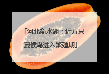 河北衡水湖：近万只夏候鸟进入繁殖期