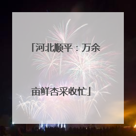 河北顺平:万余亩鲜杏采收忙