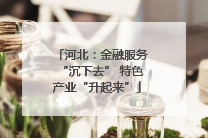 河北：金融服务“沉下去” 特色产业“升起来”