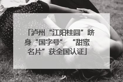 泸州“江阳桂圆”跻身“国字号” “甜蜜名片”获全国认证